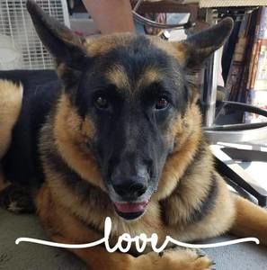 Meet your Posher, Phyllis